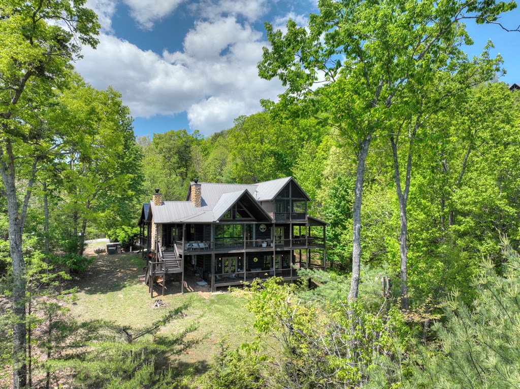 46 Cochise Road Cherry Log, GA 30522 - Photo 65 of 65