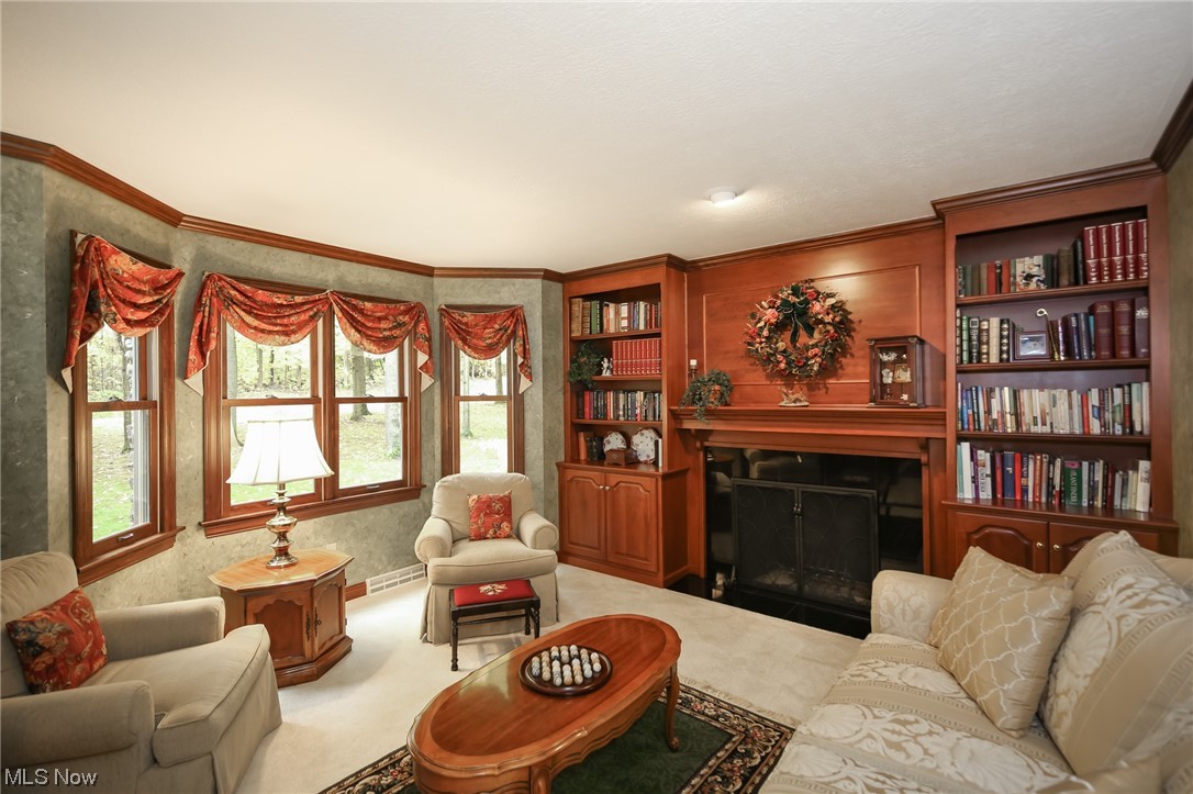 215 Georgetown-Damascus Road Beloit, OH 44609 - Photo 14 of 37 Den with custom built-ins and gorgeous fireplace