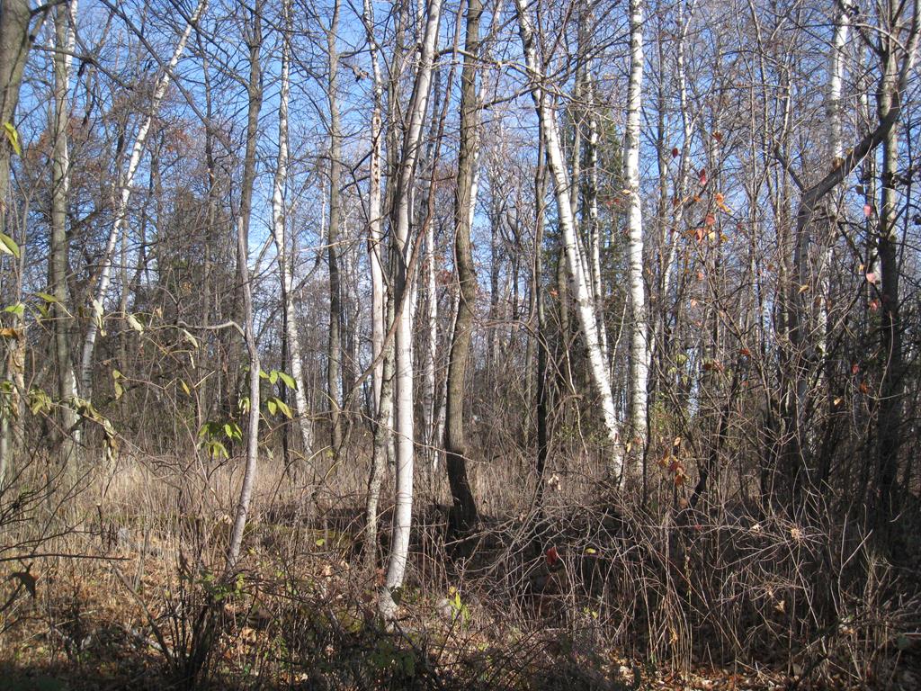 Lot 28 Snake Island Road Sturgeon Bay, WI 54235 - Photo 1 of 3