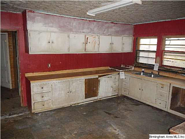 4665 East Mill Road Goodwater, AL 35072 - Photo 2 of 9