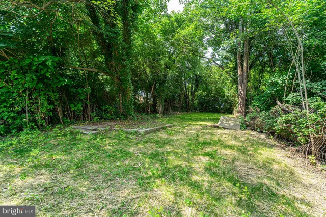 a view of outdoor space with deck and yard