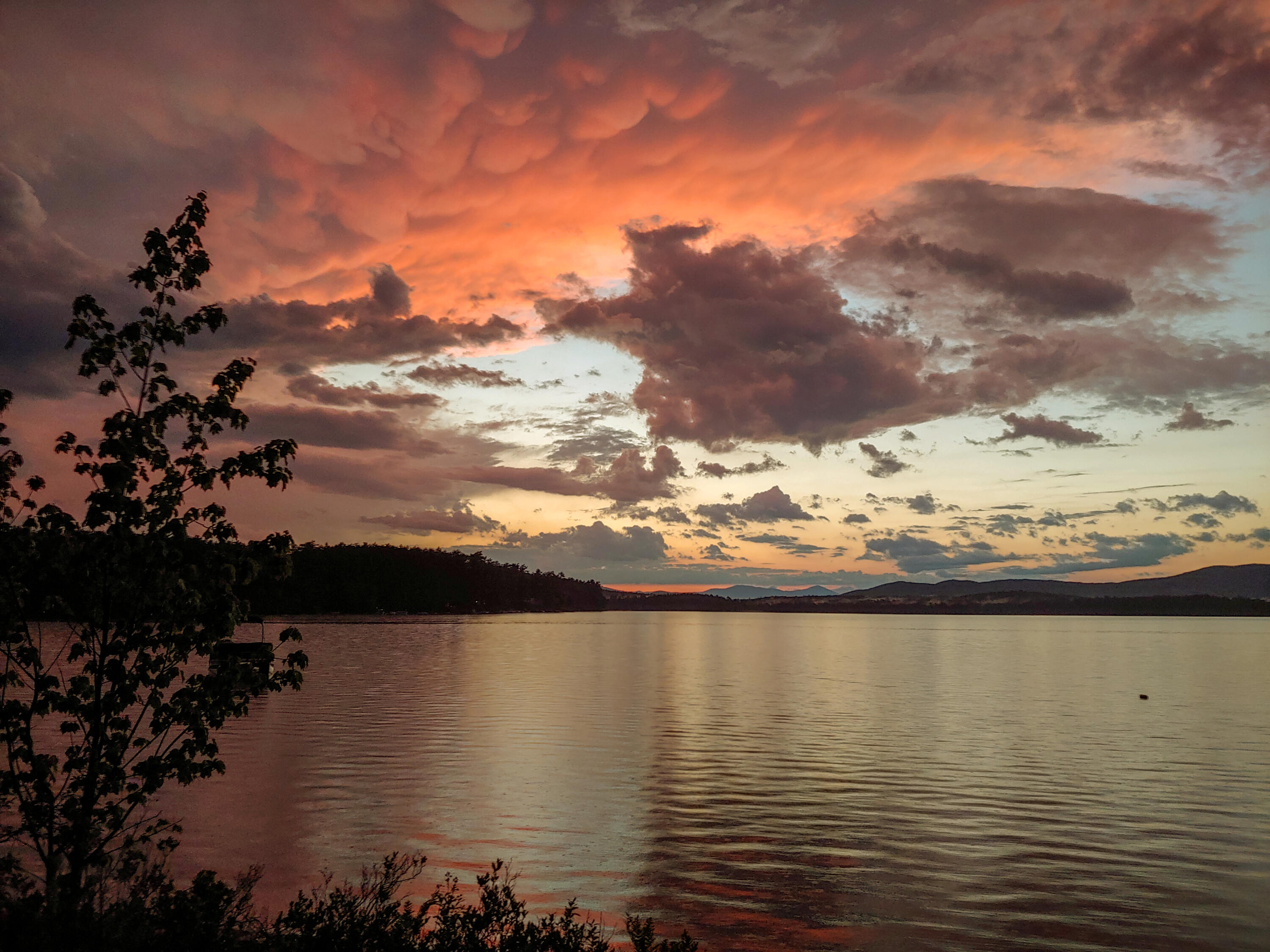 220 Lost Mile Road Newfield, ME 04095 - Photo 12 of 19 sunset copy