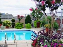 $2,595 | 1325 18th Street Northwest, Unit 807, Washington, DC 20036