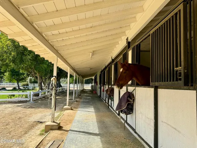 a view of a swimming pool with a garden