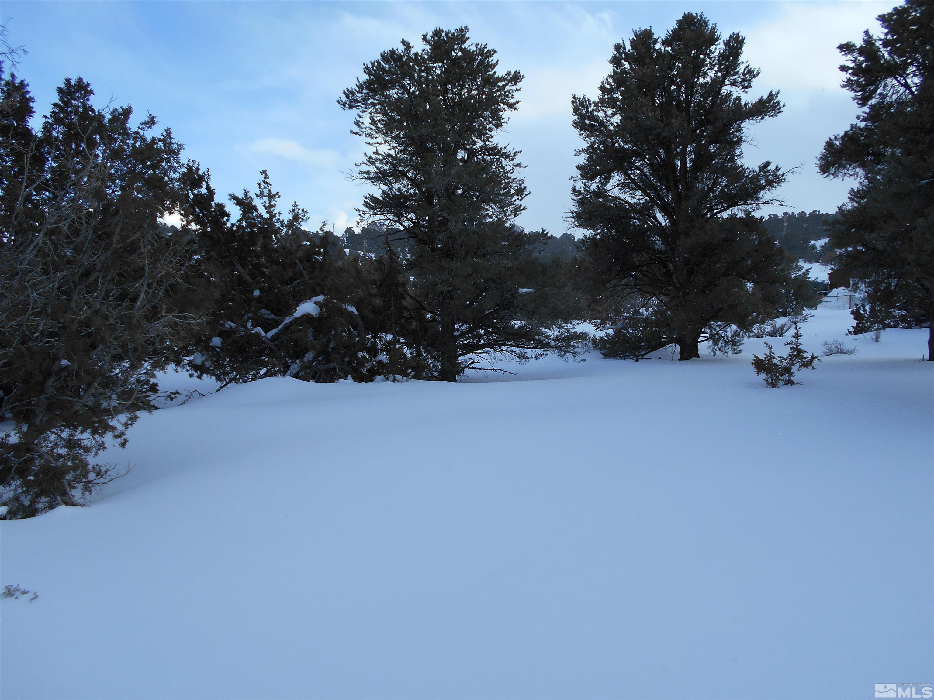 a view of snow in between of two and trees