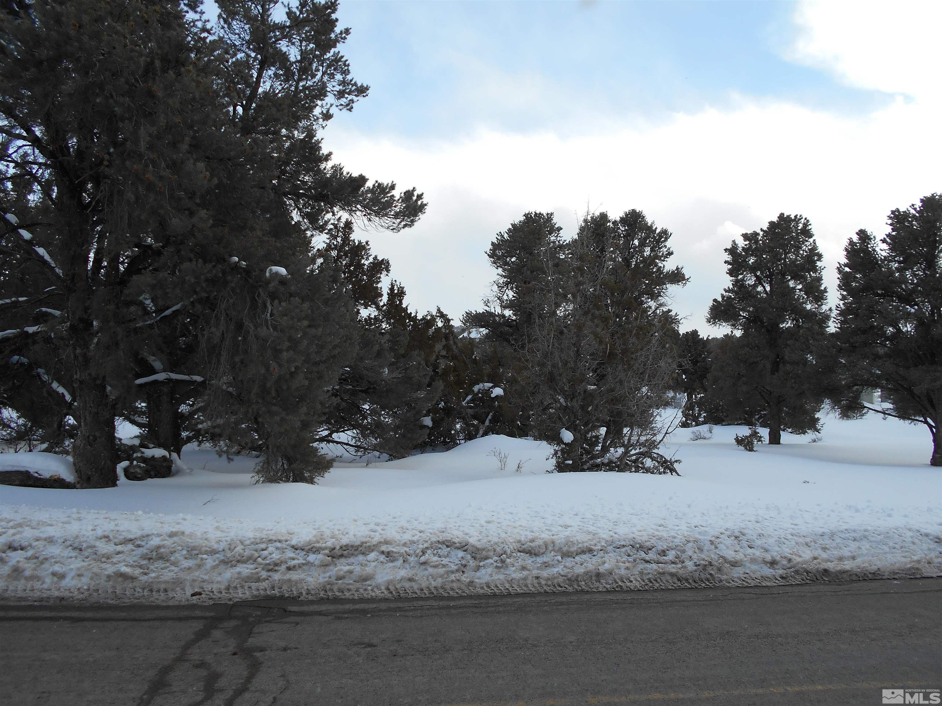 2343 Cartwright Road Reno, NV 89521 - Photo 2 of 12 a view of snow covered with snow