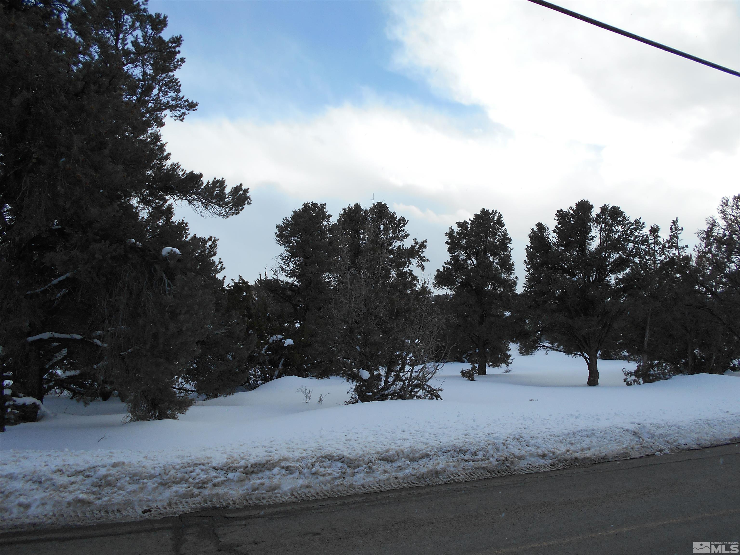 2343 Cartwright Road Reno, NV 89521 - Photo 3 of 12 a view of a snow on the side of a road