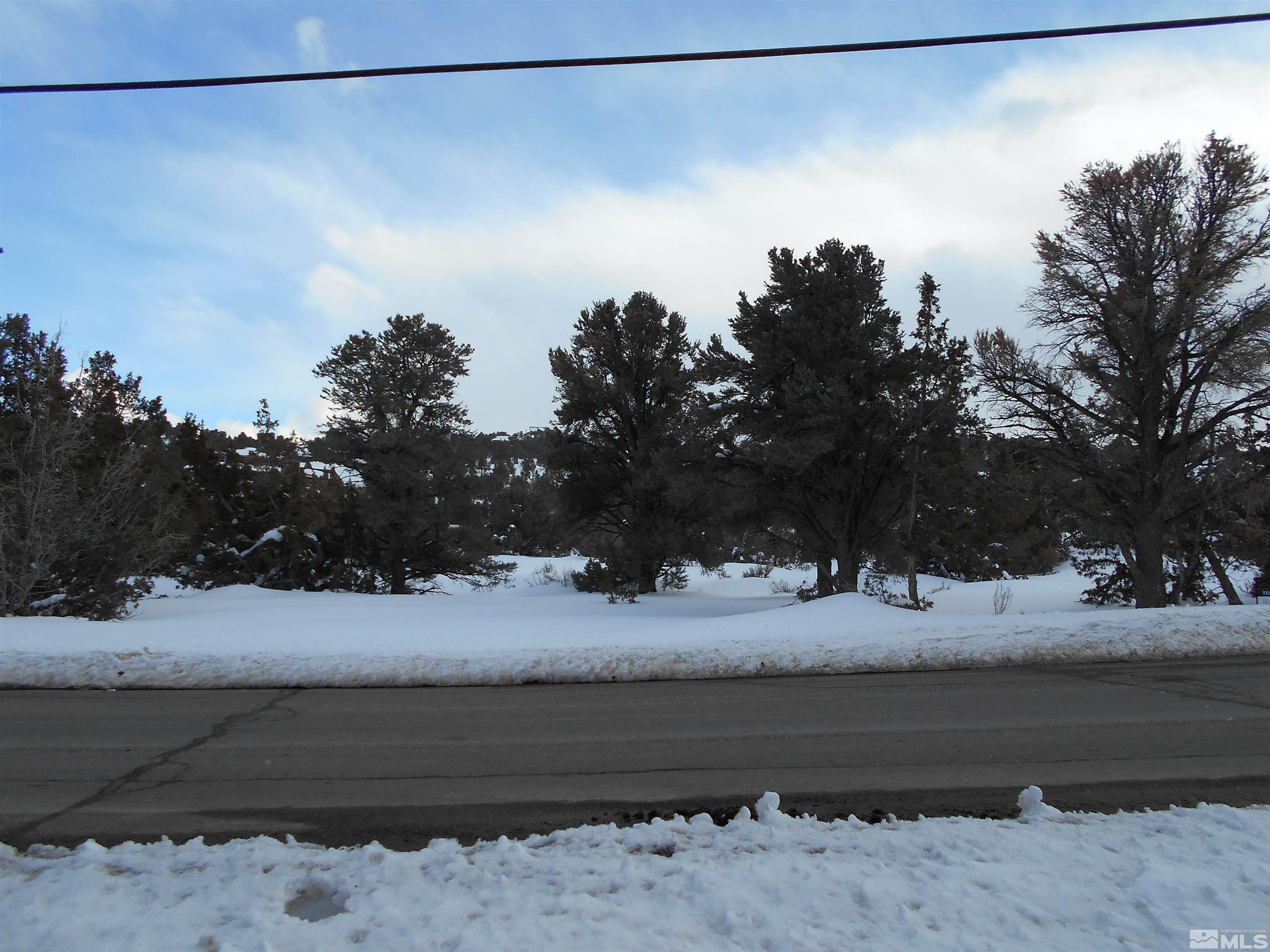 2343 Cartwright Road Reno, NV 89521 - Photo 5 of 12 a view of a yard