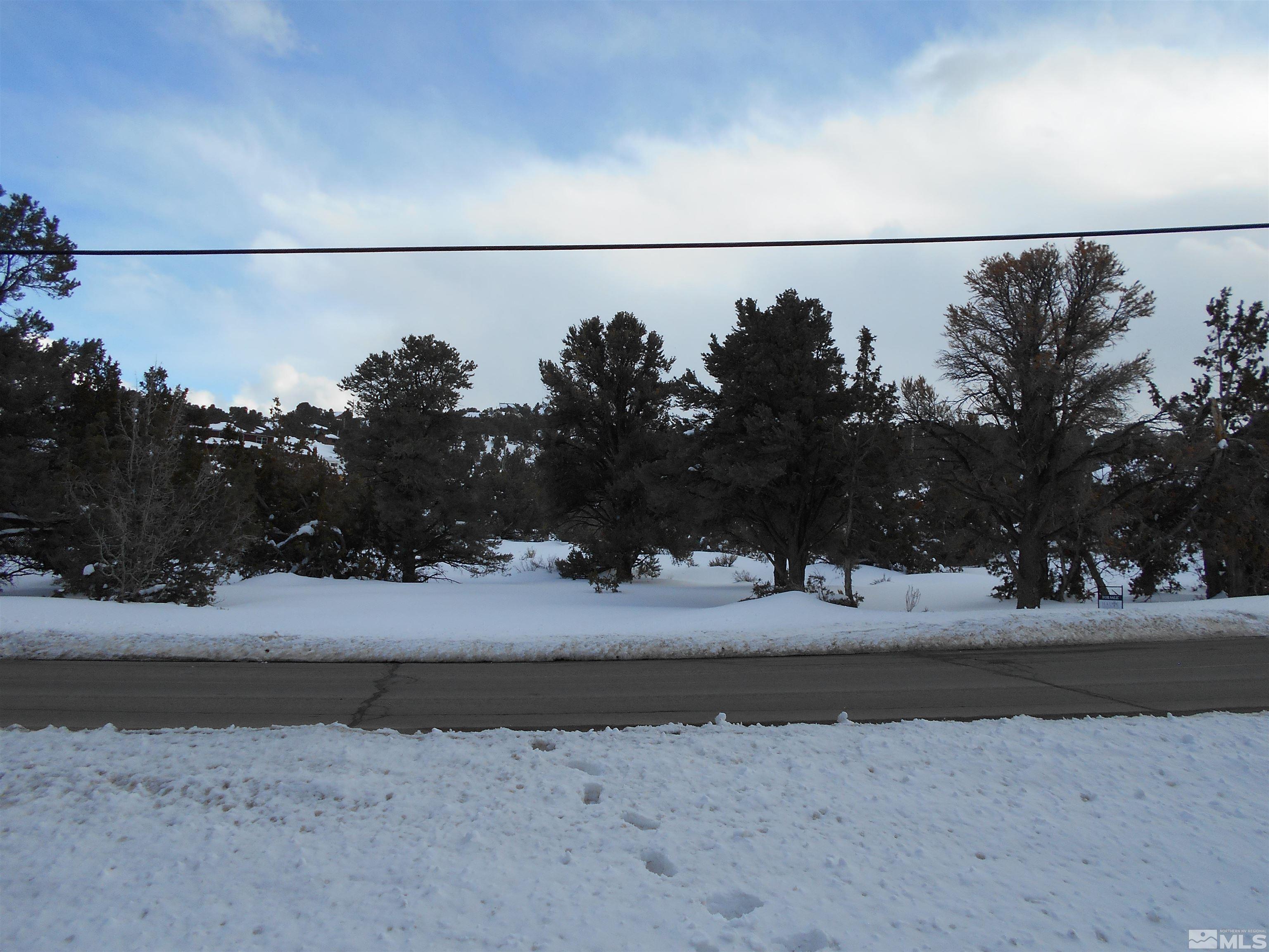 2343 Cartwright Road Reno, NV 89521 - Photo 6 of 12 a view of a street