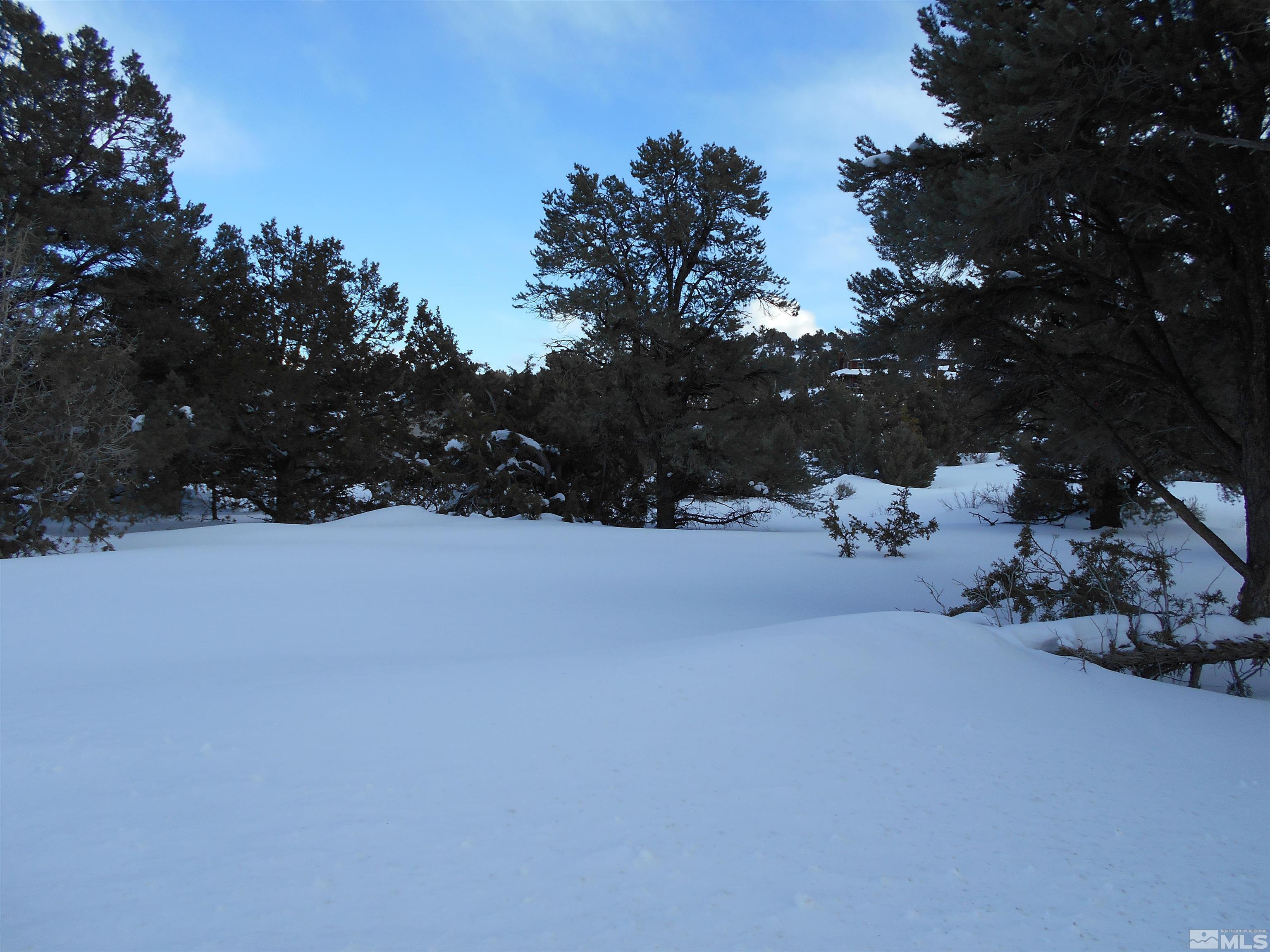 2343 Cartwright Road Reno, NV 89521 - Photo 7 of 12 a view of snow covered with snow in outdoor space