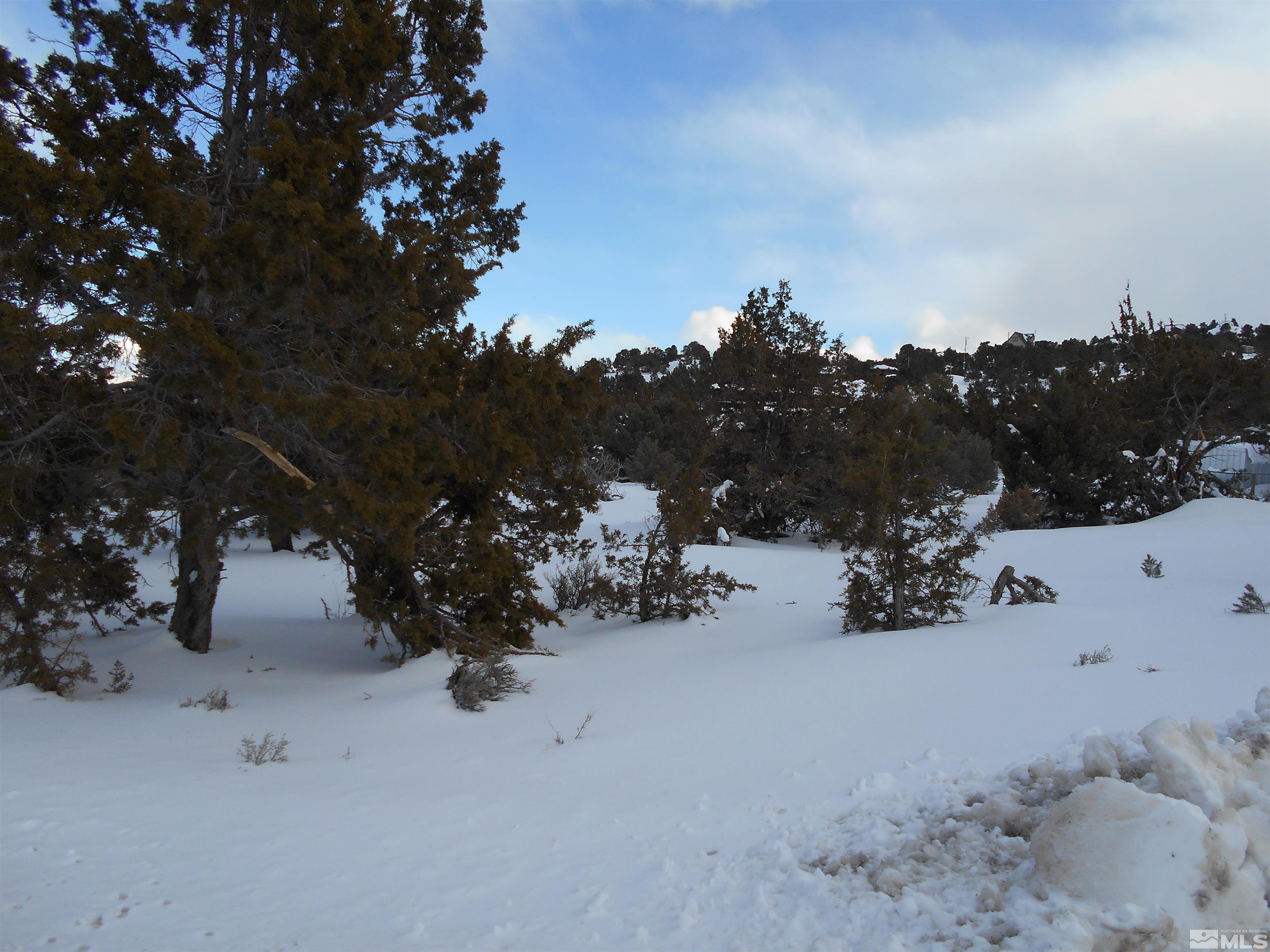 2343 Cartwright Road Reno, NV 89521 - Photo 9 of 12 a view of a tree in a yard