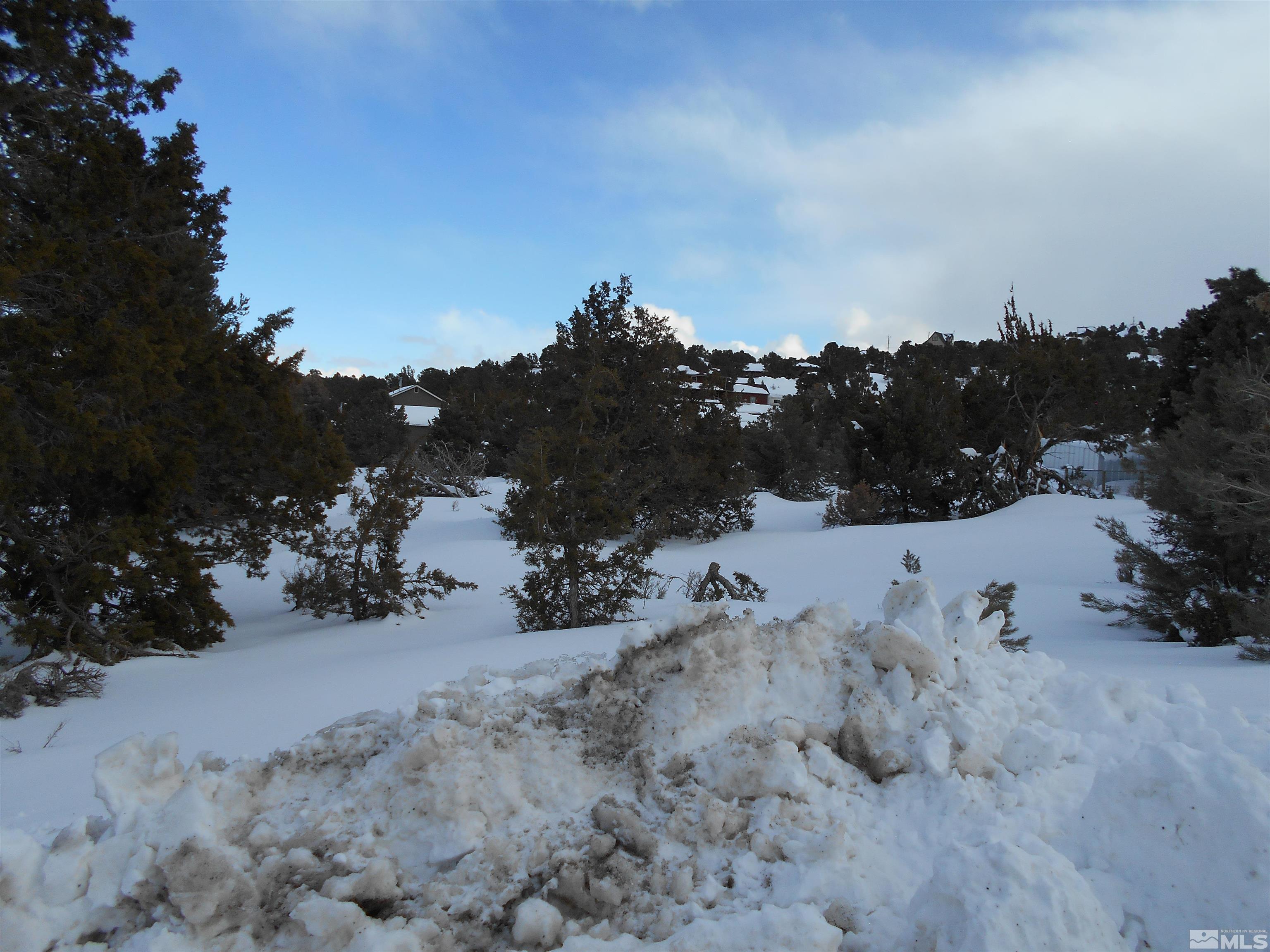 2343 Cartwright Road Reno, NV 89521 - Photo 10 of 12 a view of a covered with snow in the background