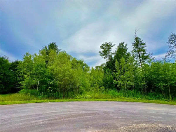 $52,300 | Lot 9 Forest Ridge Drive, Utica, NY 13501