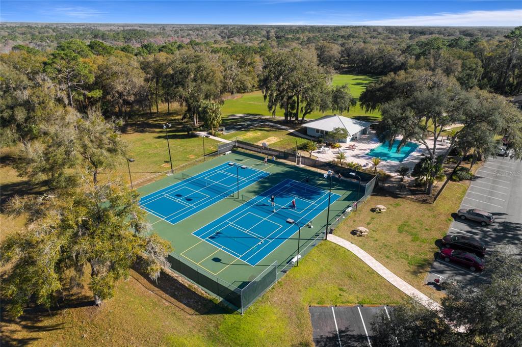 19581 Southwest 77th Place Dunnellon, FL 34432 - Photo 37 of 38