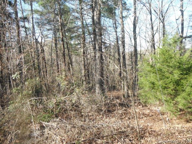933 Burma Road East Nebo, NC 28761 - Photo 1 of 9 Gallery Image 1