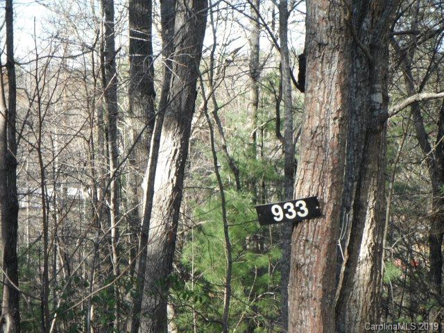 933 Burma Road East Nebo, NC 28761 - Photo 2 of 9 Gallery Image 2