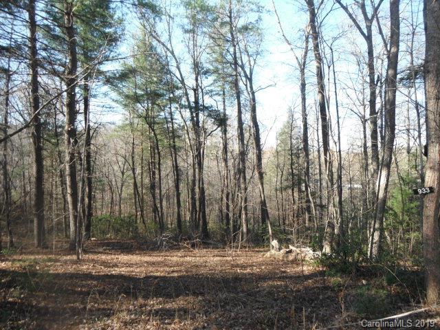 933 Burma Road East Nebo, NC 28761 - Photo 3 of 9 Gallery Image 3