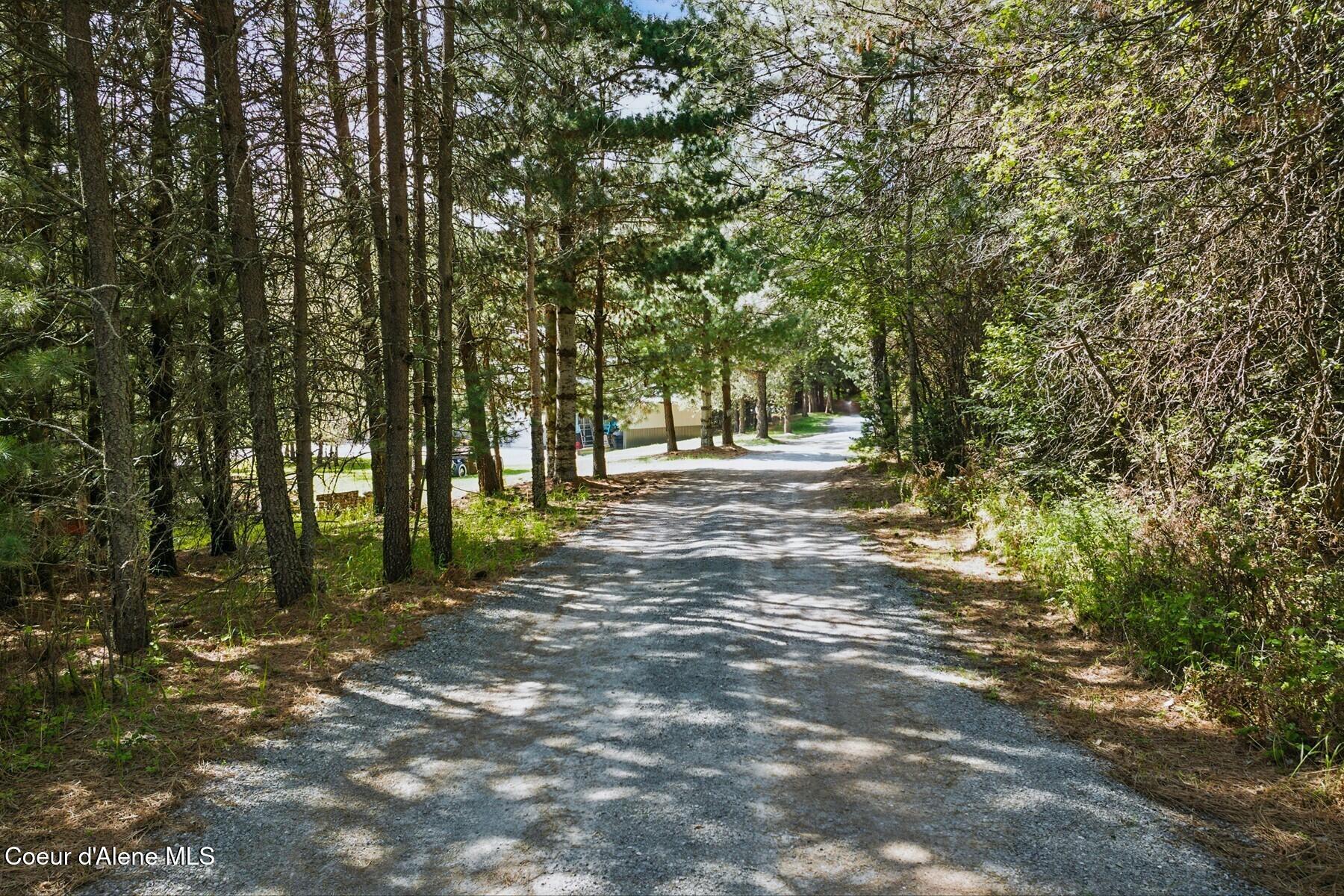 306 Eastside Road Priest River, ID 83856 - Photo 23 of 28 Driveway