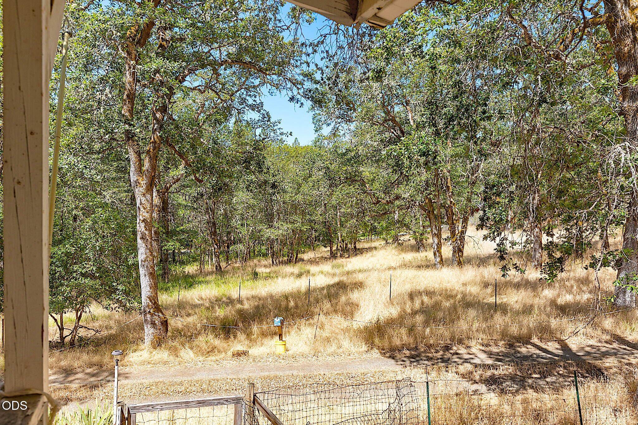 705 Murphy Gulch Road Rogue River, OR 97537 - Photo 42 of 77
