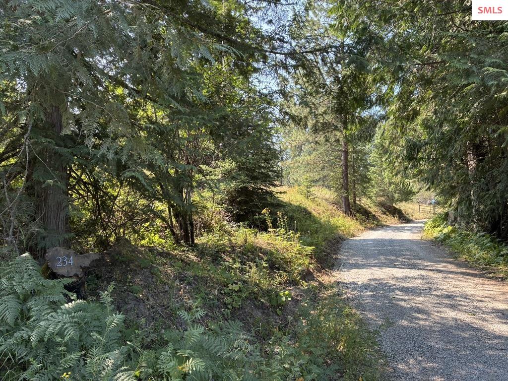 Nka Sugar Mountain Road Sandpoint, ID 83864 - Photo 4 of 19 Gallery Image 4