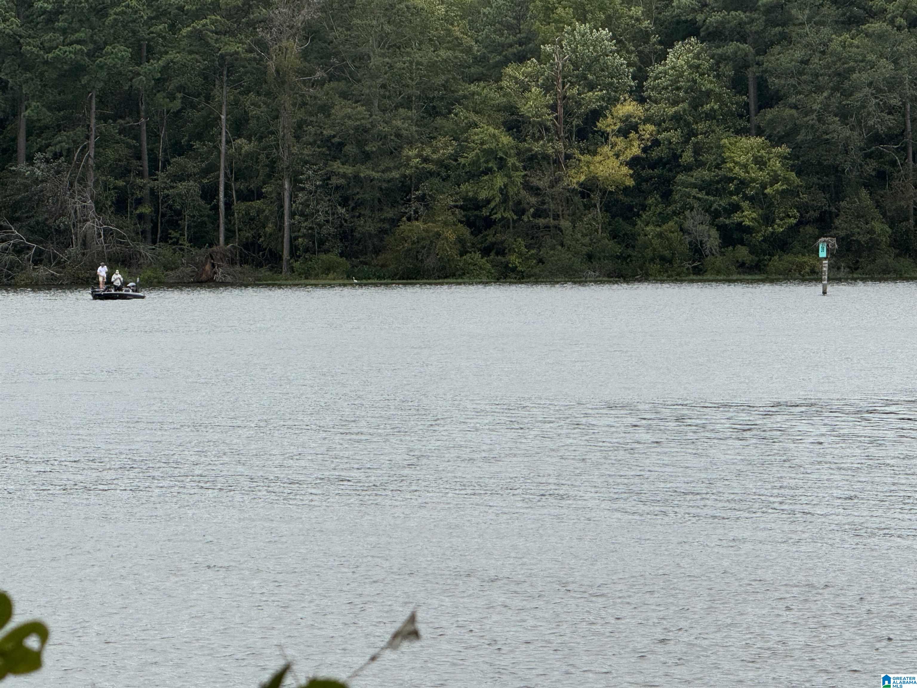 Shore Side Lane, Unit 142 Sylacauga, AL 35151 - Photo 8 of 19