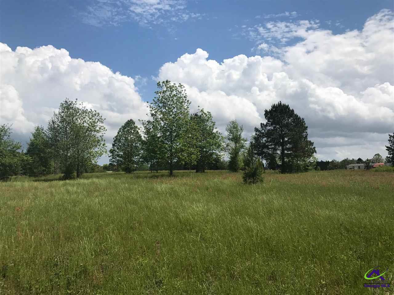 8 A Kersey Road Elko, GA 31025 - Photo 1 of 1