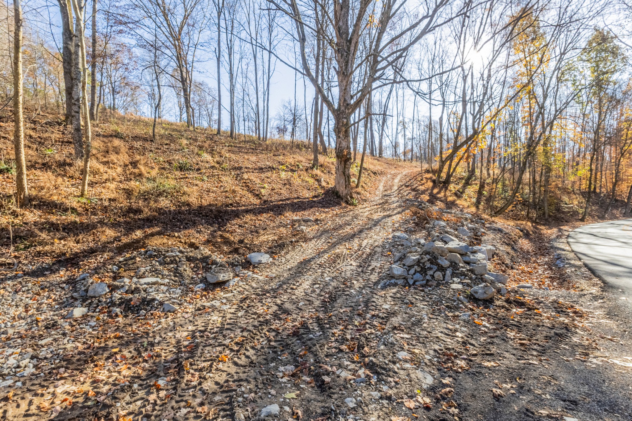 1548 Rabe Coats Road Westmoreland, TN 37186 - Photo 4 of 9 a view of snow on the road
