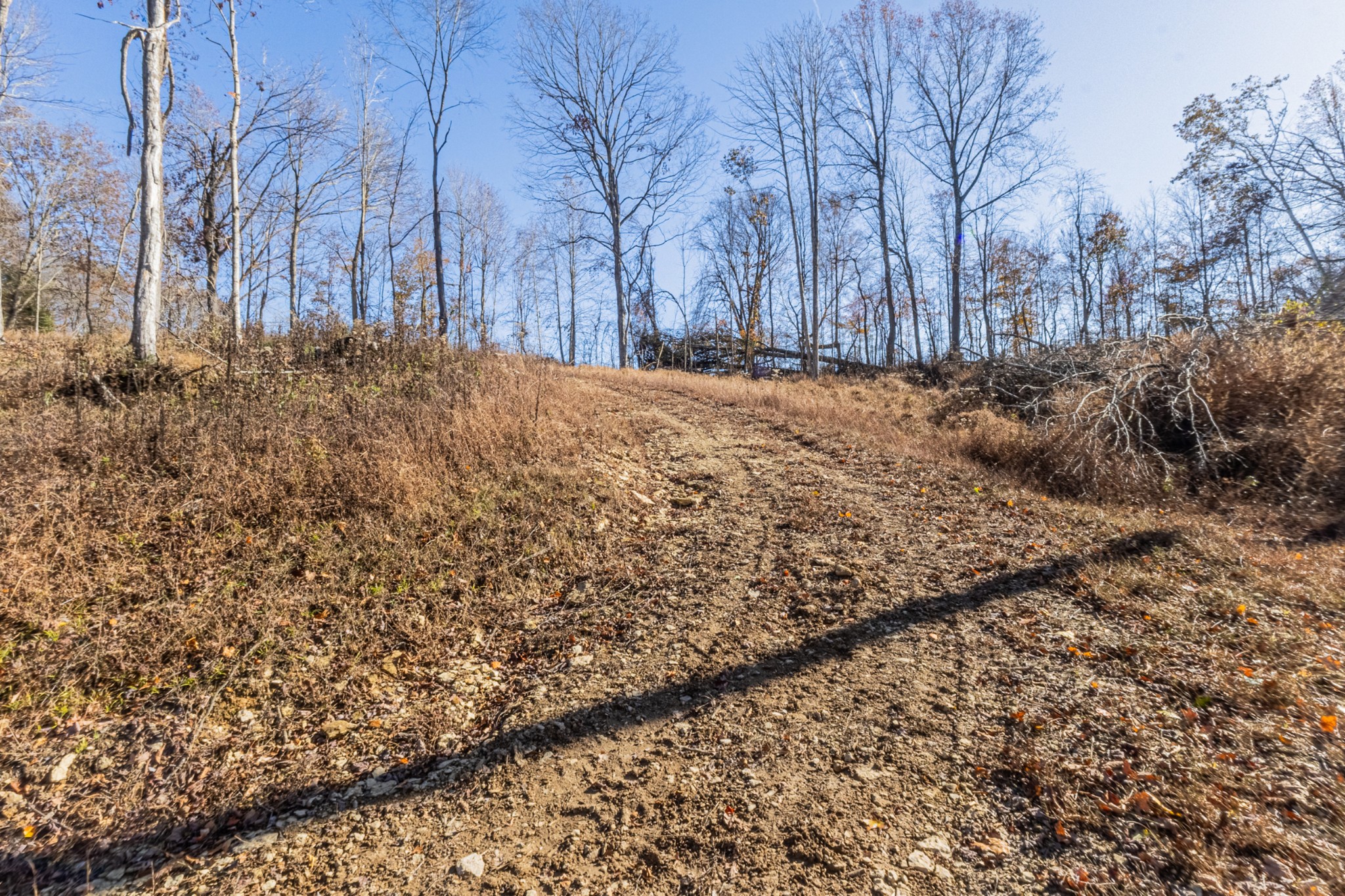 1548 Rabe Coats Road Westmoreland, TN 37186 - Photo 5 of 9 a view of large yard