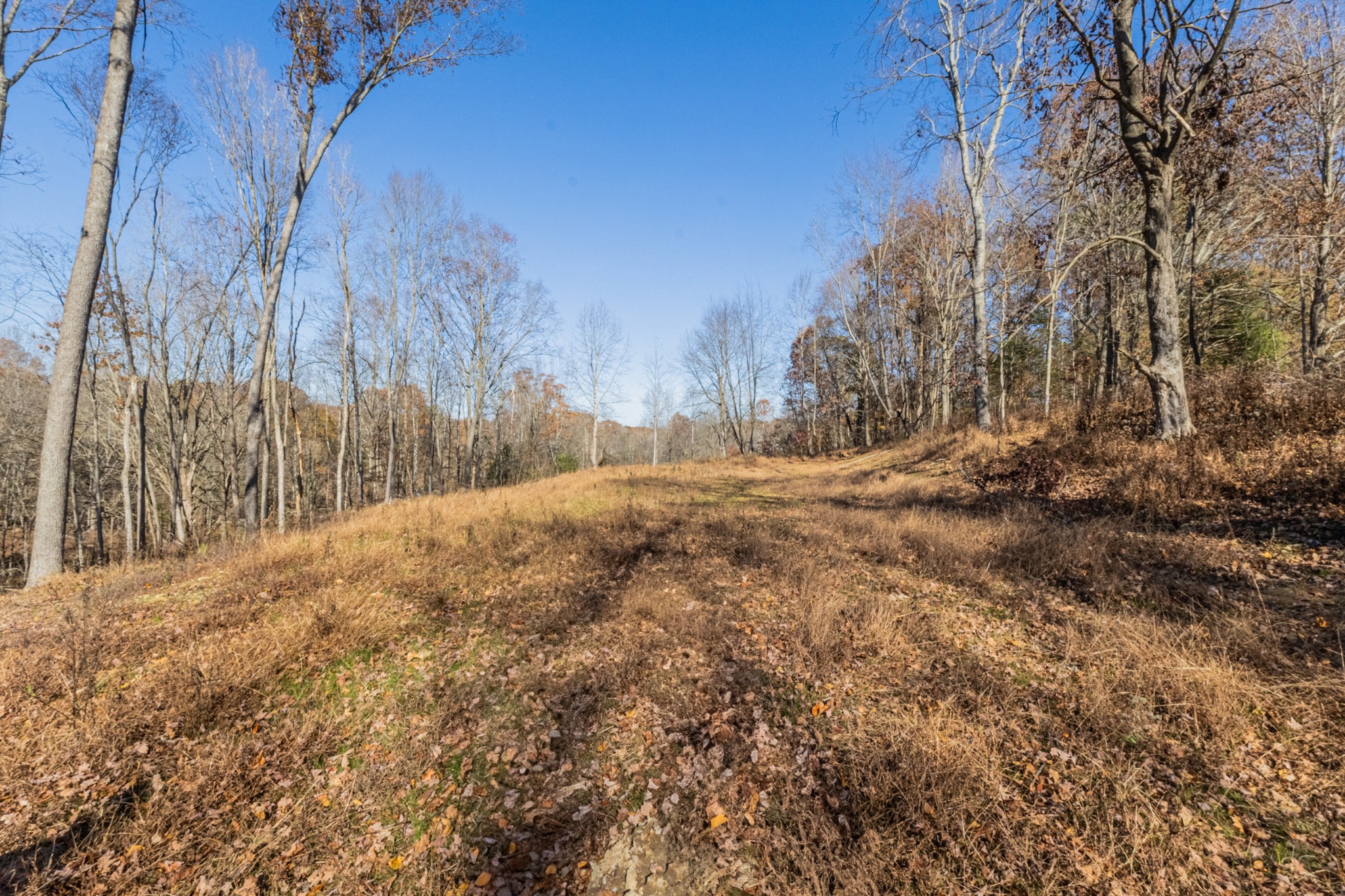 1548 Rabe Coats Road Westmoreland, TN 37186 - Photo 6 of 9 a view of side of a building