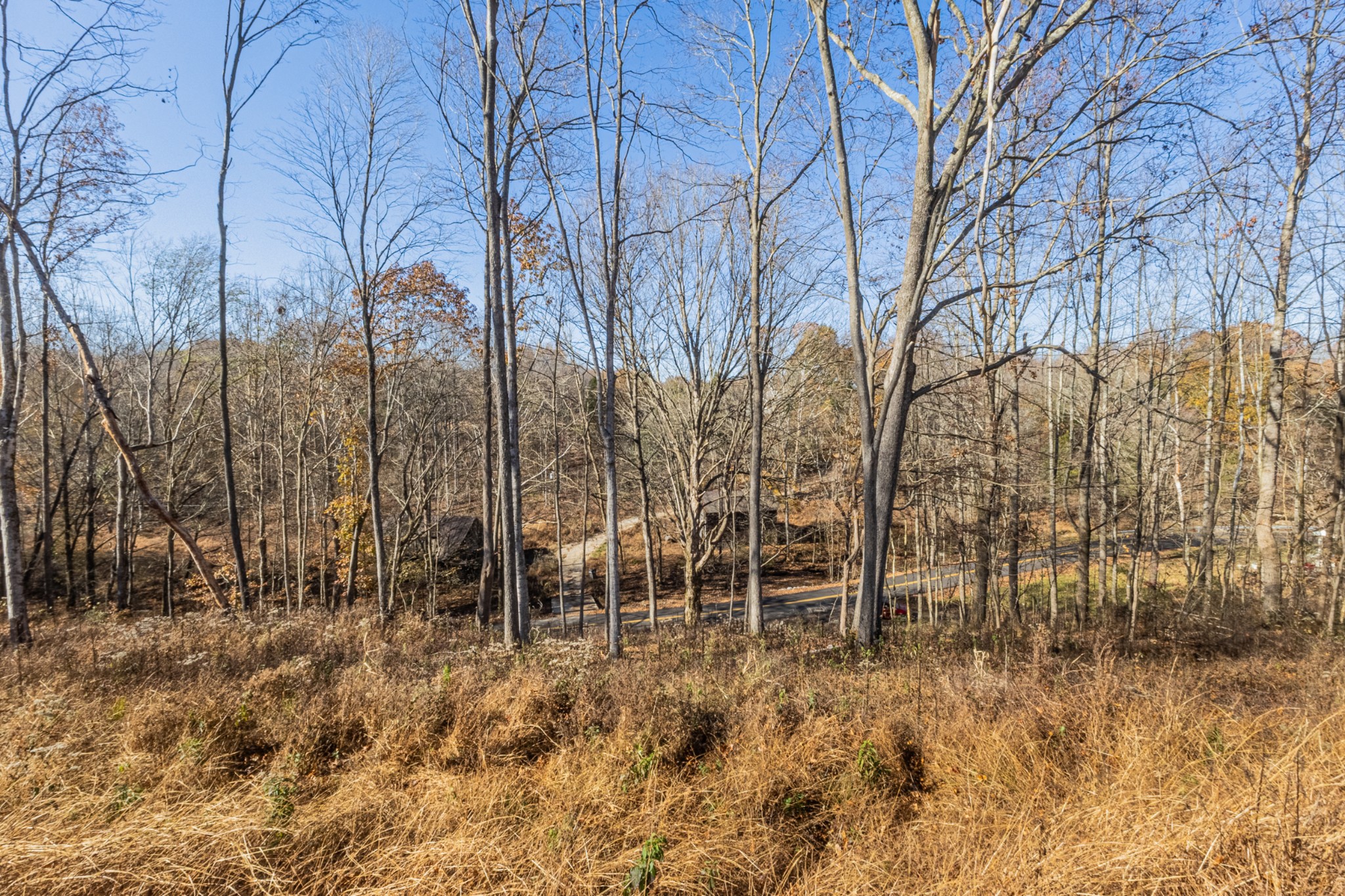 1548 Rabe Coats Road Westmoreland, TN 37186 - Photo 7 of 9 a backyard of a house with lots of green space