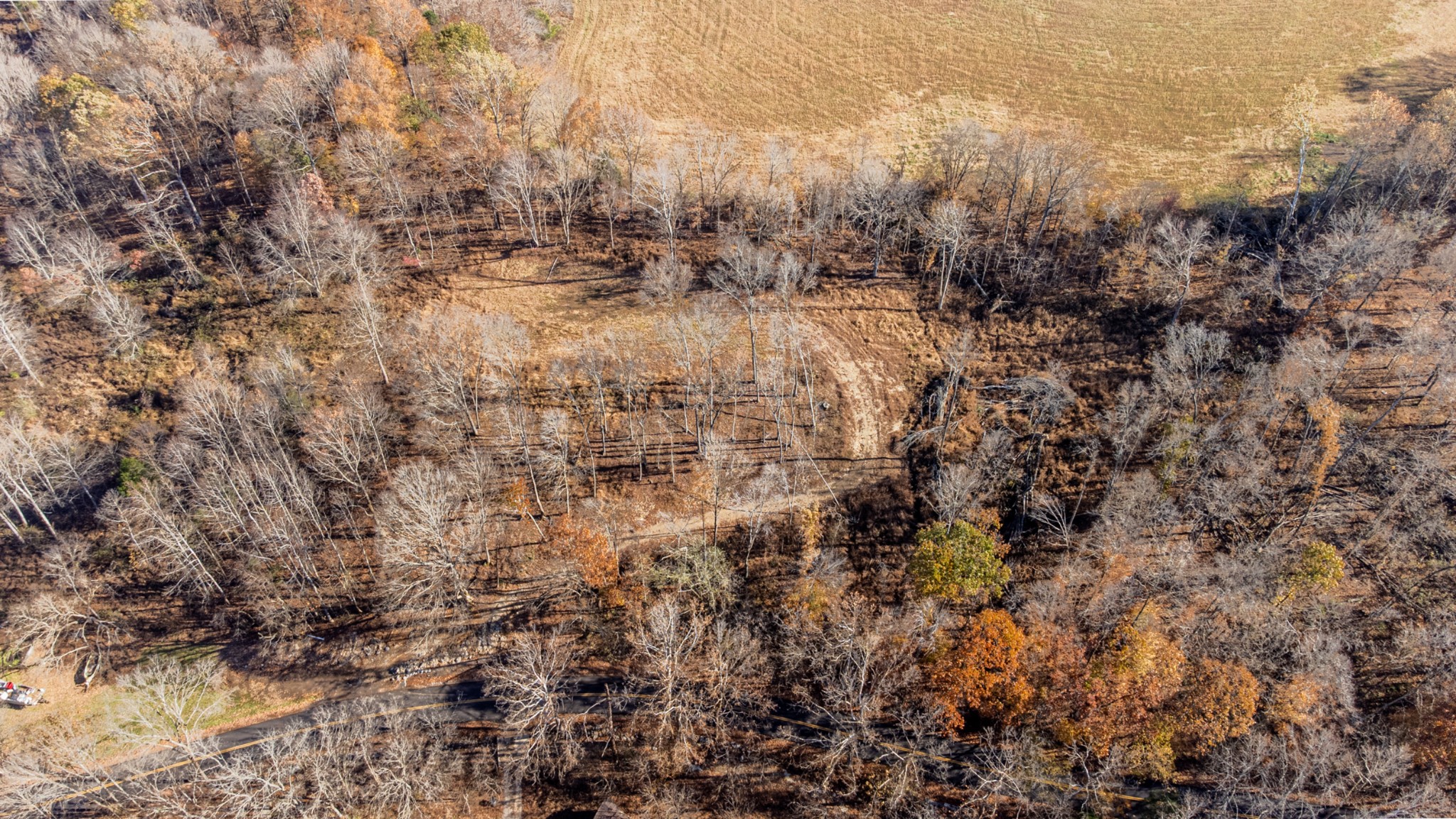 1548 Rabe Coats Road Westmoreland, TN 37186 - Photo 9 of 9 a view of a yard