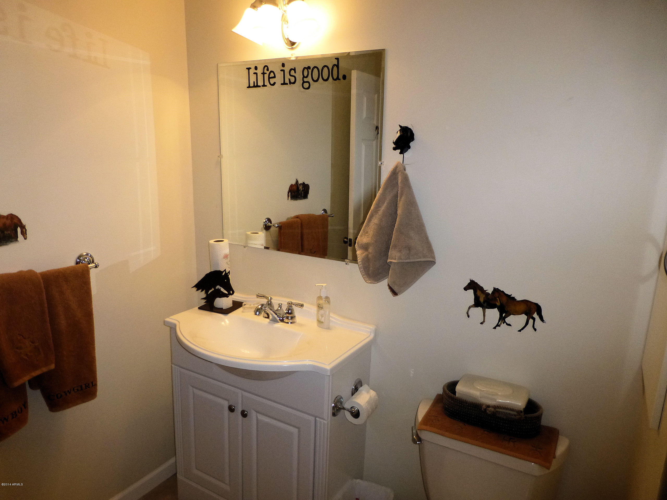 4280 North Arizona Road Apache Junction, AZ 85119 - Photo 23 of 48 Main Bathroom