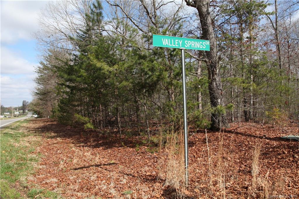 626 Tabor Road, Unit 37 Olin, NC 28660 - Photo 3 of 5