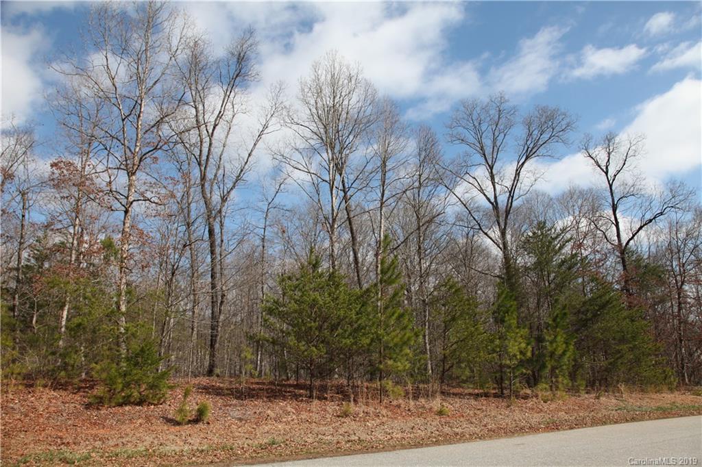 626 Tabor Road, Unit 37 Olin, NC 28660 - Photo 4 of 5