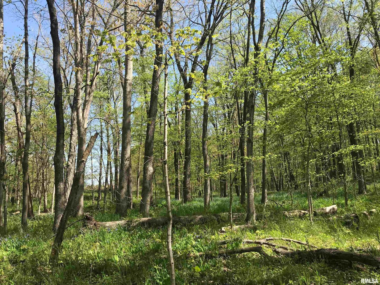 0 North 1900th Street Dieterich, IL 62424 - Photo 3 of 12