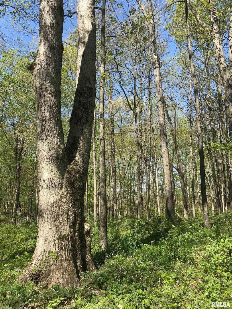 0 North 1900th Street Dieterich, IL 62424 - Photo 6 of 12 a backyard of a building