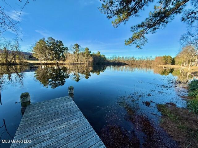 595 Halbert Heights Road Brookhaven, MS 39601 - Photo 37 of 46 IMG_5717