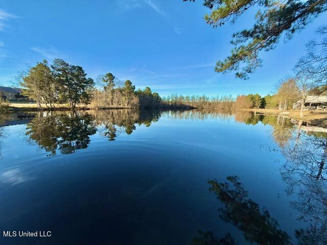 595 Halbert Heights Road Brookhaven, MS 39601 - Photo 38 of 46 IMG_5718