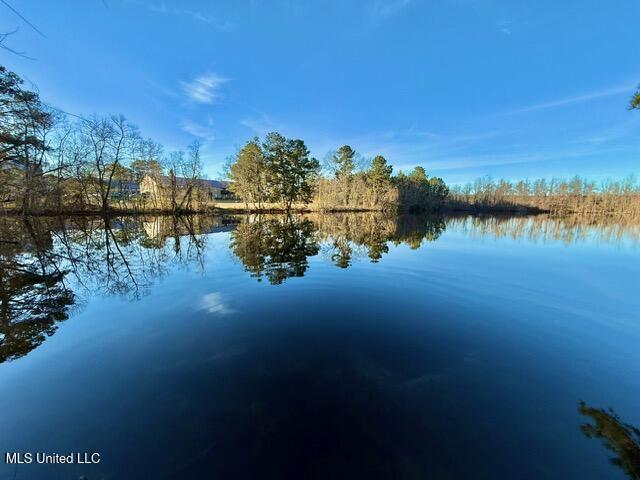 595 Halbert Heights Road Brookhaven, MS 39601 - Photo 40 of 47 IMG_5720