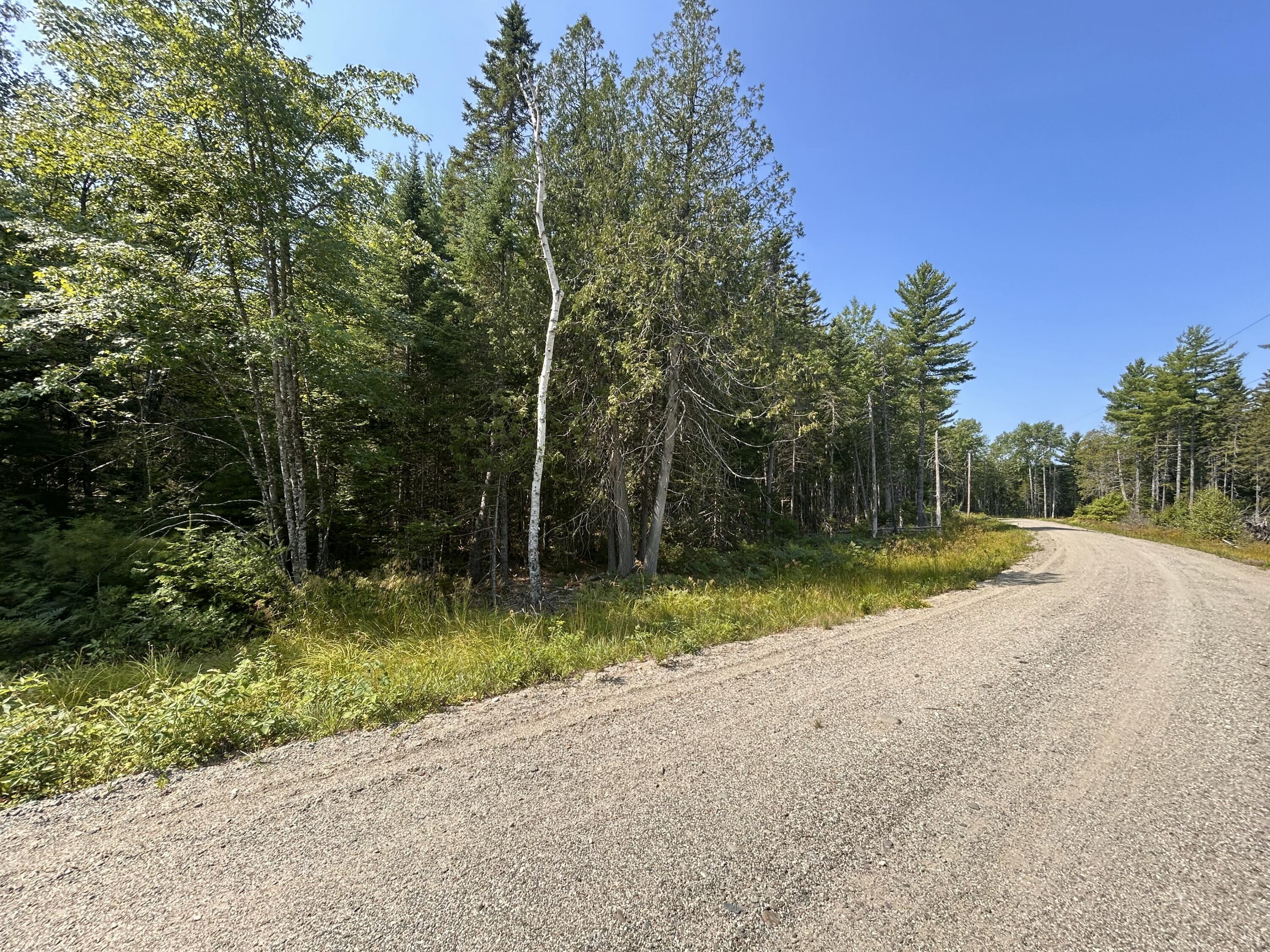 10 Bufford Drive Ellsworth, ME 04605 - Photo 3 of 5 IMG_5234