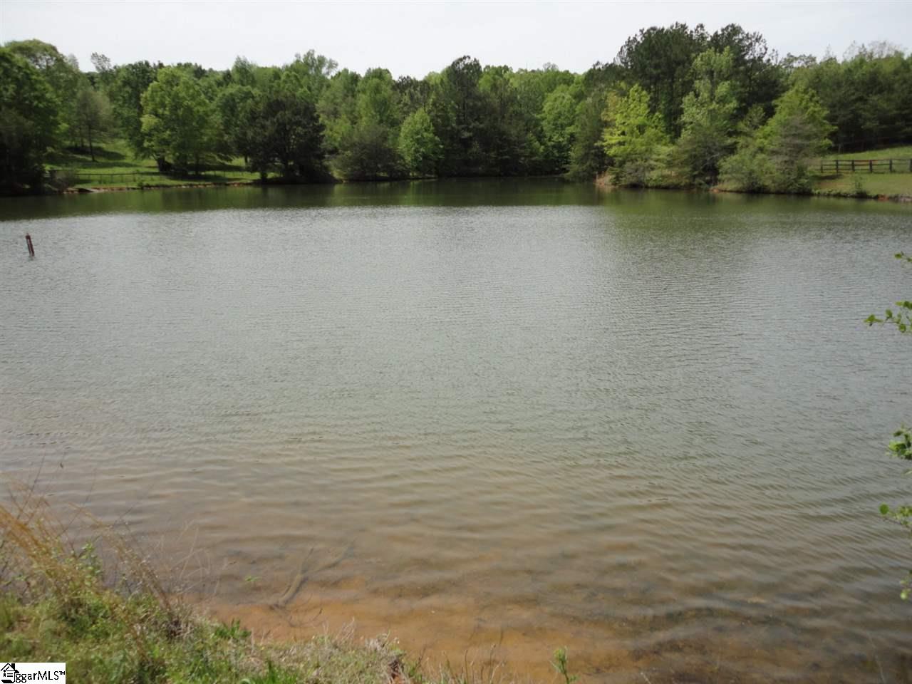 821 McKelvey Road Pelzer, SC 29669 - Photo 30 of 36