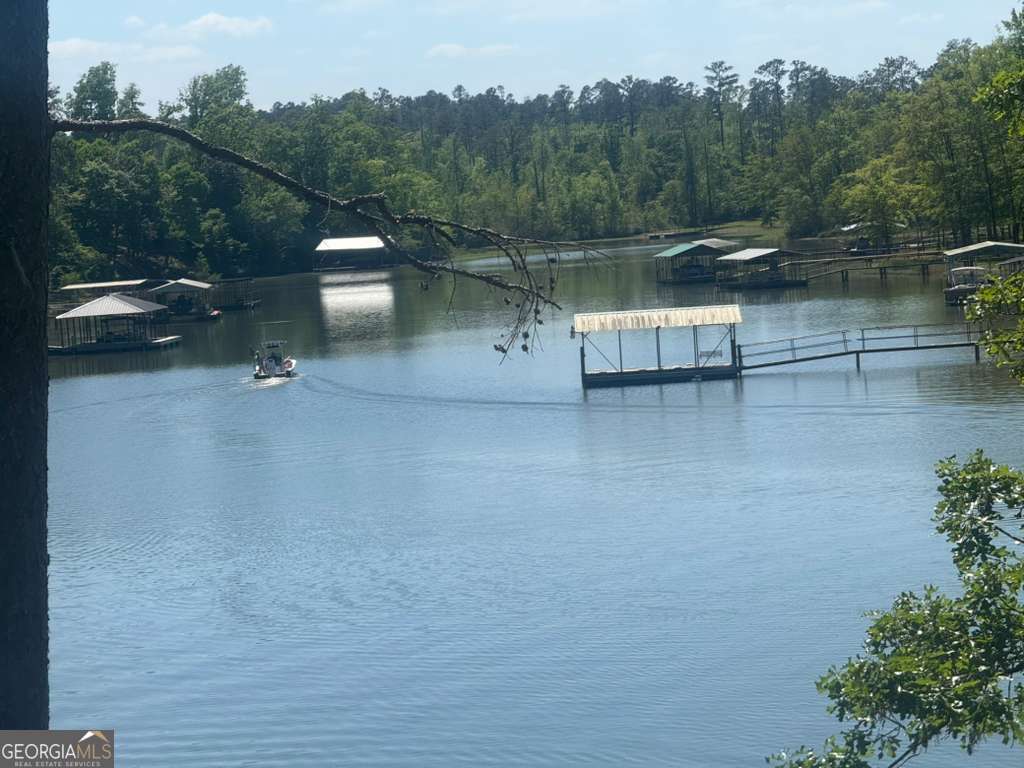 460 Lakeview Street Abbeville, AL 36310 - Photo 19 of 22