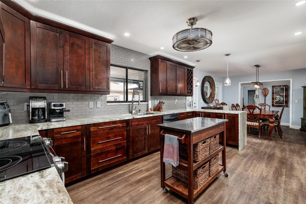 23208 Sierra Road Land O' Lakes, FL 34639 - Photo 15 of 69 Gallery Image 15