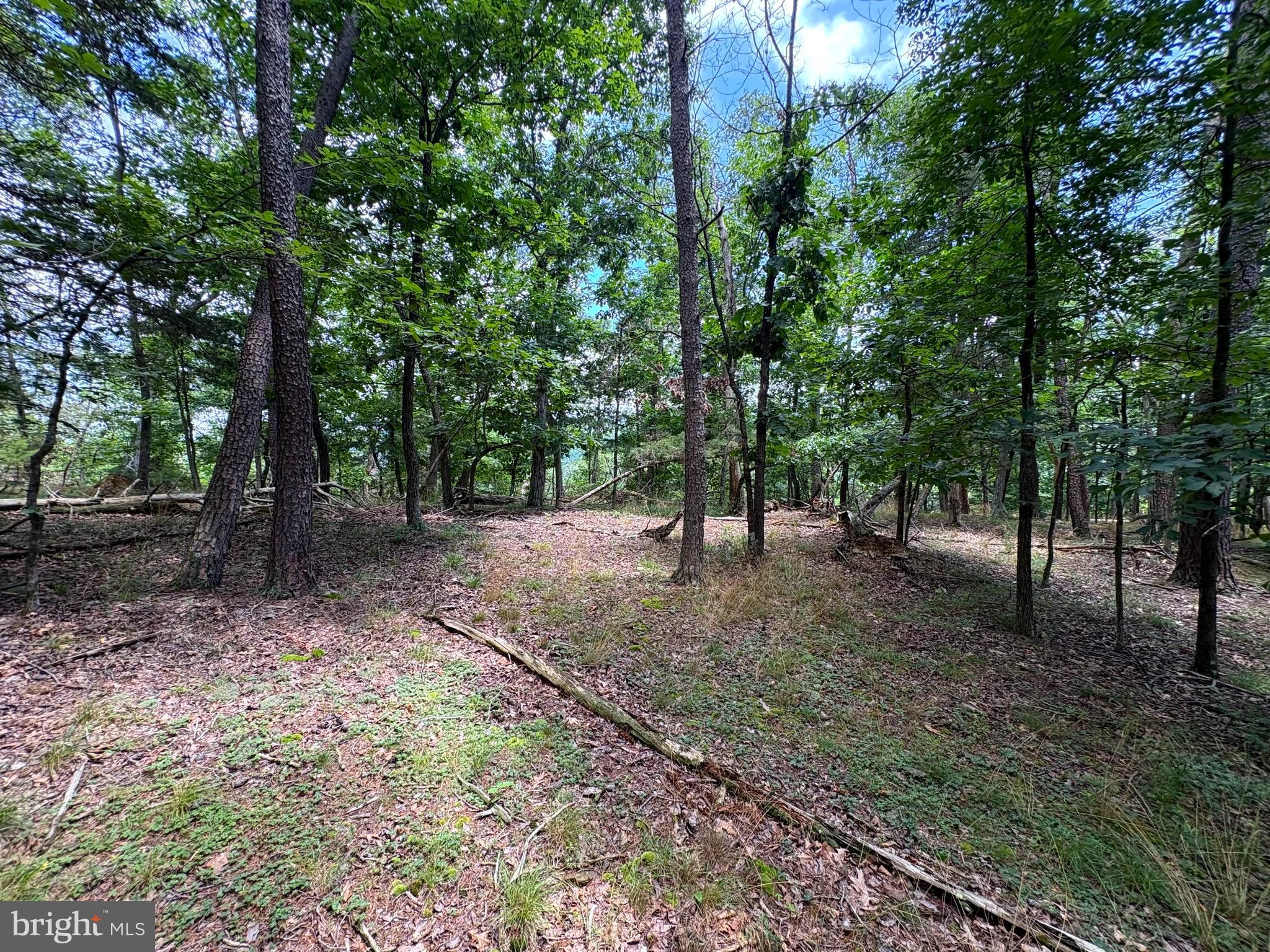 7313 Little Cacapon Road Romney, WV 26757 - Photo 1 of 18