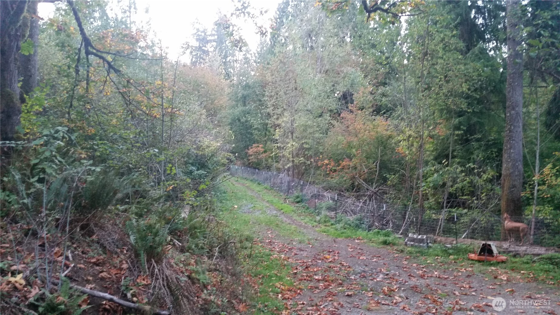 18661 Renton-Maple Vly Road Maple Valley, WA 98038 - Photo 27 of 32