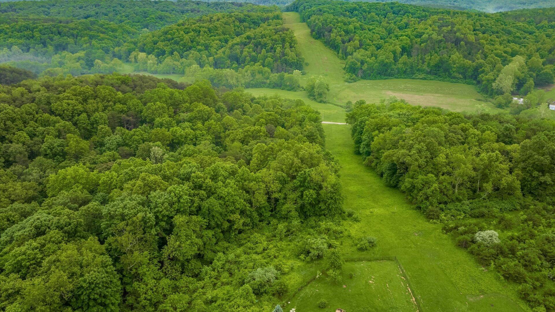 0 Blackjack Road Logan, OH 43138 - Photo 10 of 18 09-z 28116 Blackjack Rd005