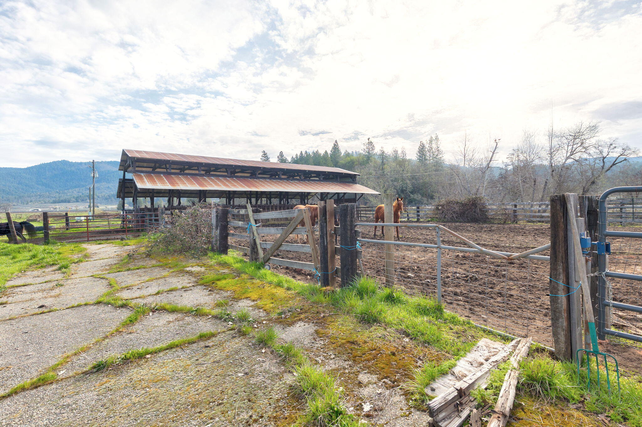 6795 Holland Loop Road Cave Junction, OR 97523 - Photo 35 of 57