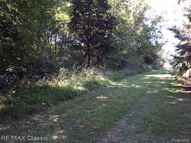 7615 Fosdick Road Saline, MI 48176 - Photo 5 of 7