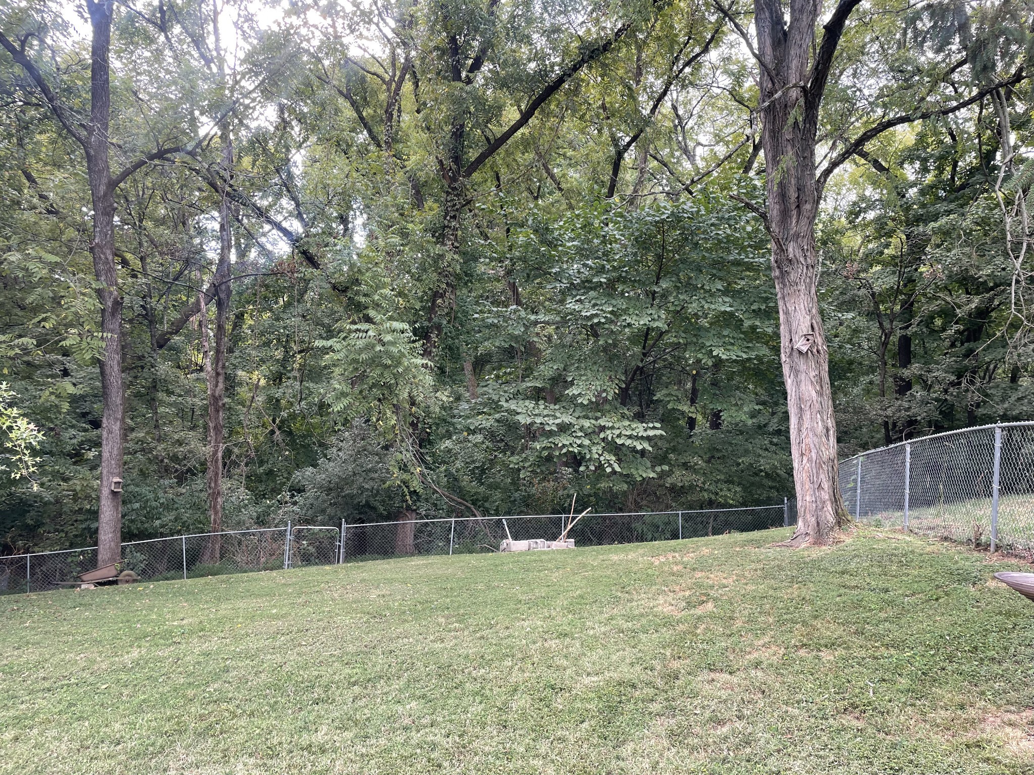 239 Green Harbor Road Old Hickory, TN 37138 - Photo 26 of 26 Property extends past the fenced area