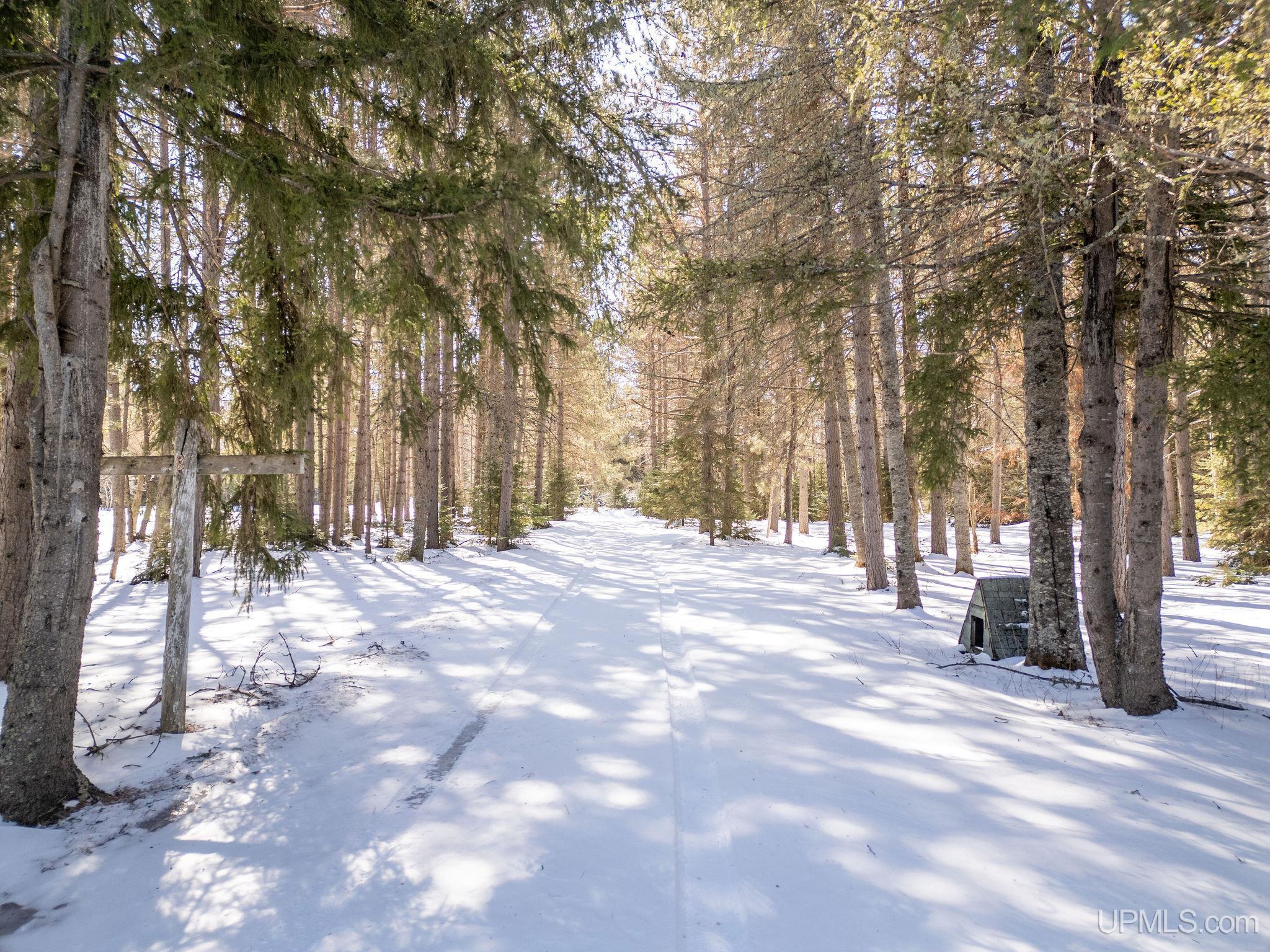 1320 South Helen Lake Road Ishpeming, MI 49849 - Photo 42 of 59